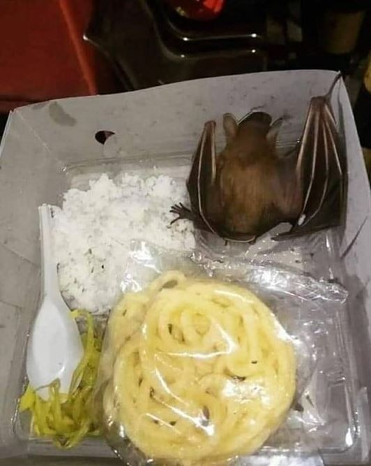 Lihat Isi 3 Nasi Kotak Ini, Yang Biasanya Rebutan Jadi Nggak Pengen Makan